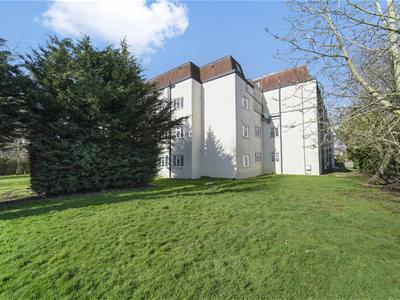 Picture 15